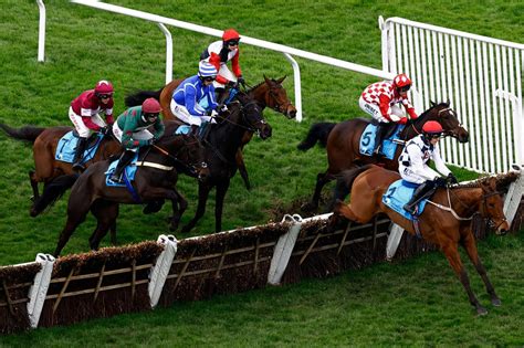 cheltenham bets today - Cheltenham Racing Tips 